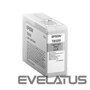 Tarvikud ja tarvikud EPSON  T8509 Ink Cartridge, Light Light Black 