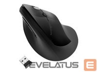 Arvuti komponendid Kensington  K75501EU  Pro Fit E 