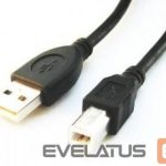 Kaabel Gembird  CABLE USB2 AM-BM 1.8M/CCP-USB2-AMBM-6 