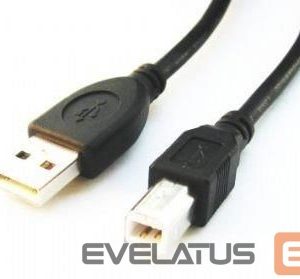 Kaabel Gembird  CABLE USB2 AM-BM 1.8M/CCP-USB2-AMBM-6 