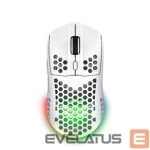 Arvutihiir Trust  MOUSE USB OPTICAL WRL GXT929W/HELOX LIGHTW WHITE 25390 