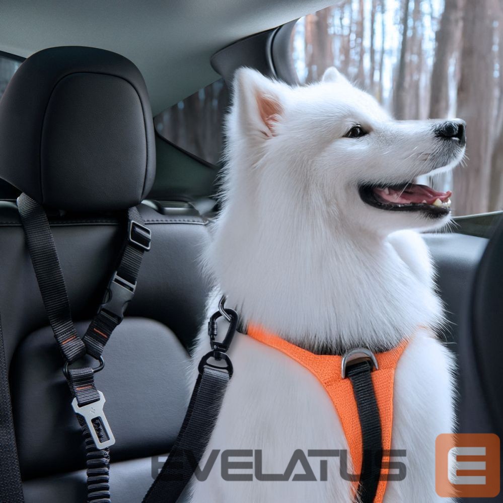 Muud kaubad Spigen Spigen PS100 Universal Pet Seat Belt - Black
