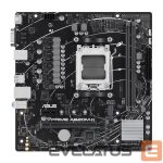 Intel protsessori emaplaat Asus  PRIME A620M-K 