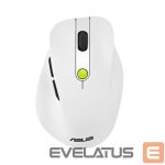 Arvutihiir Asus  MOUSE USB OPTICAL WRL MD105/VT-GN 90XB0AH0-BMU010 