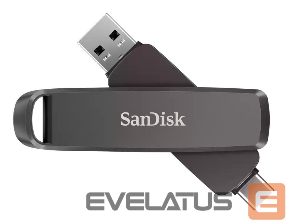 Mälupulk SANDISK BY WESTERN DIGITAL MEMORY DRIVE FLASH USB-C 1TB/SDDDE1-1T00-G46