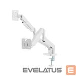 Telerite tarvikud Gembird  DISPLAY ACC MOUNTING ARM/DBL 17-32" MA-DA2-06-W 