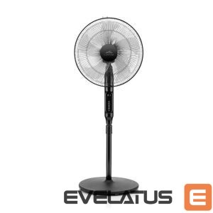 Ventilaator ETA  Naos Fan 260790000 Stand Fan, Number of speeds 4, 50 W, Oscillation, Diameter 43 cm, Black 