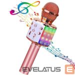 Mikrofon HQ  Royal Song WS-858 Karaoke Kids & Adult Fun Effect Microphone with Speakers & Recodr Micro SD USB 