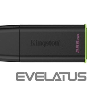Mälupulk Kingston  MEMORY DRIVE FLASH USB3.2/256GB DTXG2/256GB 