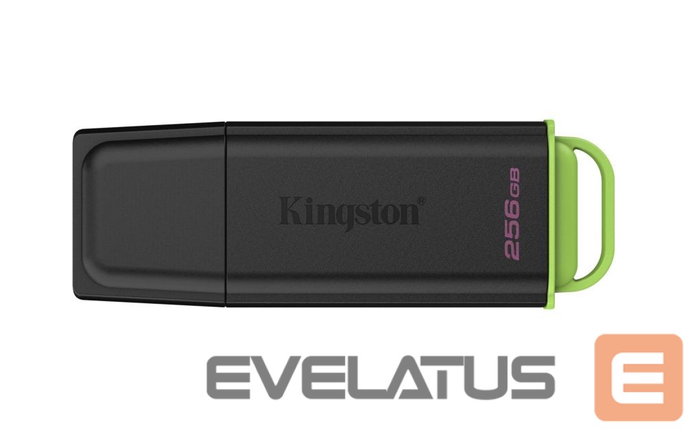Mälupulk Kingston MEMORY DRIVE FLASH USB3.2/256GB DTXG2/256GB