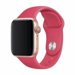 Rihm Devia Apple Watch 40mm/ 38mm strap Deluxe Sport Red