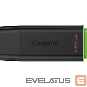 Mälupulk Kingston  DataTraveler Exodia 256GB USB 3.2 Flash Drive 