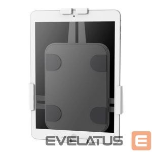 Teleri kinnitus NEOMOUNTS  WL15-625WH1 Tablet wall mount 7.9-11" - lockable - universal | 