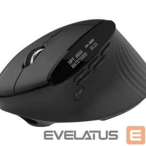Arvutihiir Acer  Smart Fit Vertical Mouse, retail pack 