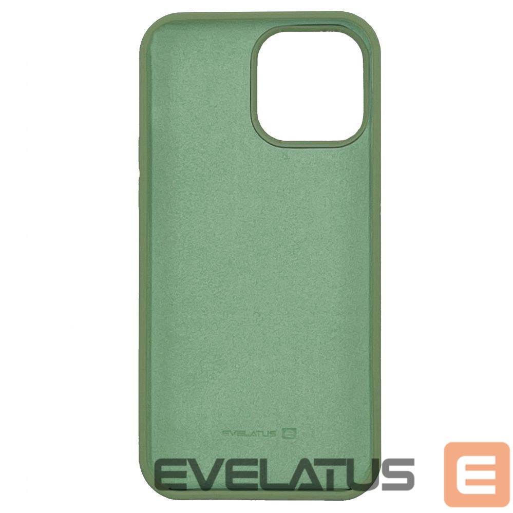 Tagakaaned Evelatus Apple iPhone 12 Pro Max Premium Soft Touch Silicone Case Mint