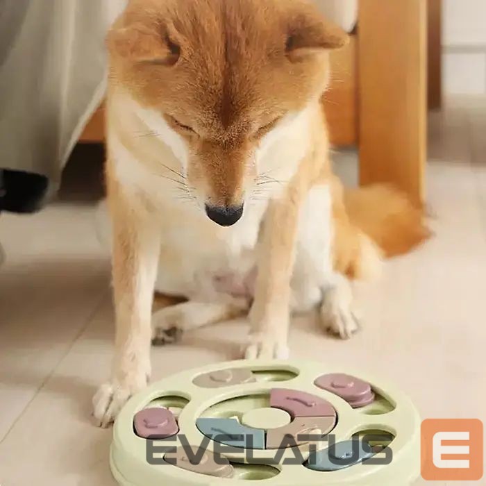 Teine toode iLike Dog Treat Puzzle Feeder diam.24cm Interactive Slow-Eating Toy Training Game Multicolor