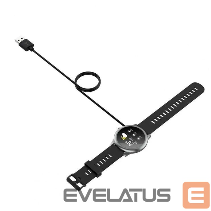 Laadija iWear CH2 Universal USB 1m Power Cable Smart Watch 2-pin 4mm magnetic charger