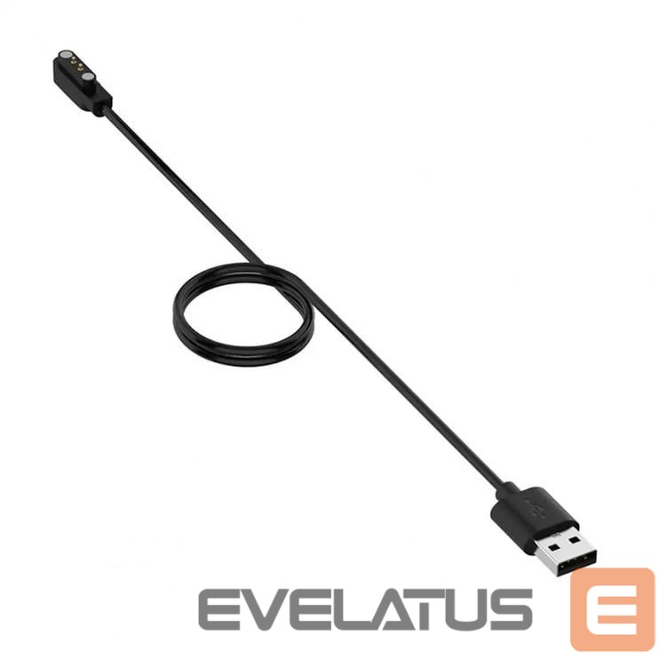 Laadija iWear CH2 Universal USB 1m Power Cable Smart Watch 2-pin 4mm magnetic charger