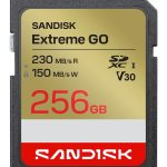 Muu arvutitarvik SANDISK BY WESTERN DIGITAL  MEMORY SDXC 256GB UHS-I/SDSDXGN-256G-GNCIN 