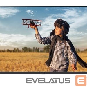 Televiisorid LG  TV Set||65 "|4K Ultra HD|3840 x 2160 pixels|Flat|16:9|LCD|65UA731C 