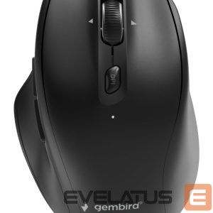 Arvutihiir Gembird  MOUSE USB OPTICAL WRL/MUSW2-6B-02 
