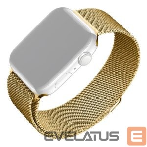 Rihm fixed  | Mesh Strap for Apple Watch 42/44/45/46/49mm | Gold 