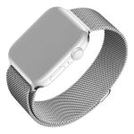 Rihm fixed  | Mesh Strap for Apple Watch 42/44/45/46/49mm | Silver 