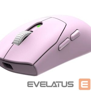Arvutihiir MSI  Gaming Mouse | FORGE GM340 WIRELESS | Wireless | 2.4 GHz, Bluetooth , USB | Violet 