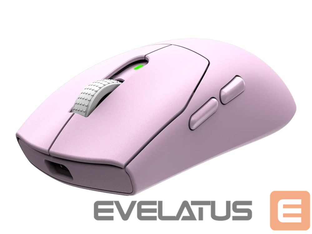 Arvutihiir MSI Gaming Mouse | FORGE GM340 WIRELESS | Wireless | 2.4 GHz, Bluetooth , USB | Violet