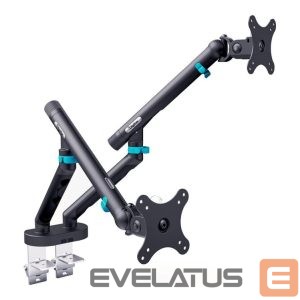 Teleri kinnitus Digitus  Desk Mount | Tilt, rotation, pivot | Dual design monitor mount, 2x 35", 2x 10 kg | 35 " | Maximum weight (capacity) 20 kg | Black 