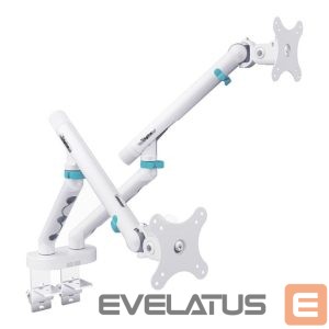 Teleri kinnitus Digitus  Desk Mount | Tilt, rotation, pivot | Dual design monitor mount, 2x 35", 2x 10 kg | 35 " | Maximum weight (capacity) 20 kg | White 