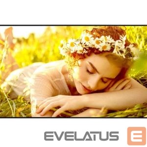 Monitorid LG  43UL5Q-E | 43 " | Landscape/Portrait | 24/7 | webOS | 8 ms | 1000000:1 | 178 ° | 178 ° | 500 cd/m² 